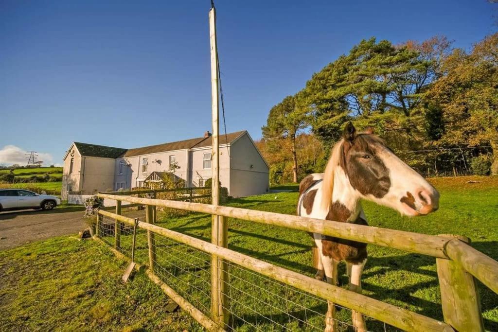 -- Huge -- 5-bedroom & Private Gym By Tailored * Swansea